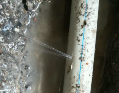 石鼓测漏水哪家好