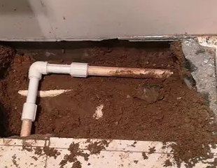 石鼓测漏水哪家好