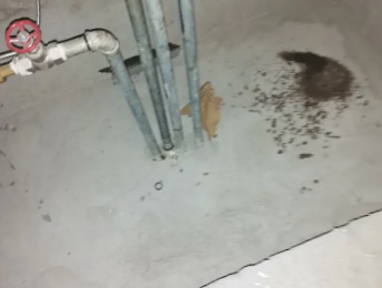 石鼓卫生间测漏水价格明细