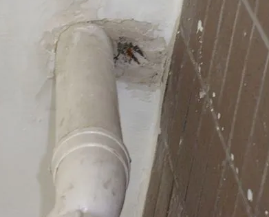 石鼓漏水检测哪家好